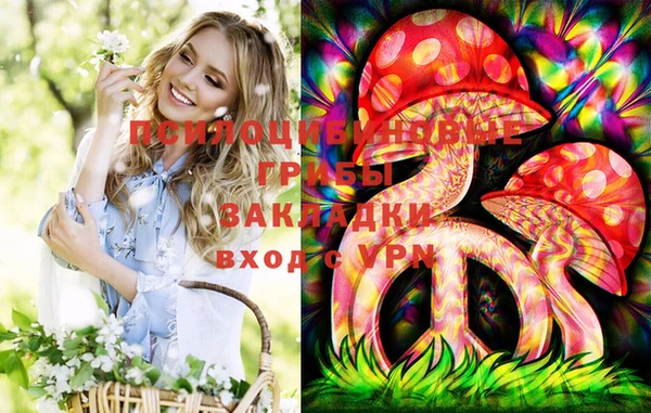 2c-b Кулебаки