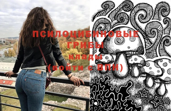 прущий лед Кукмор