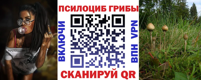Псилоцибиновые грибы мицелий где продают наркотики Монино