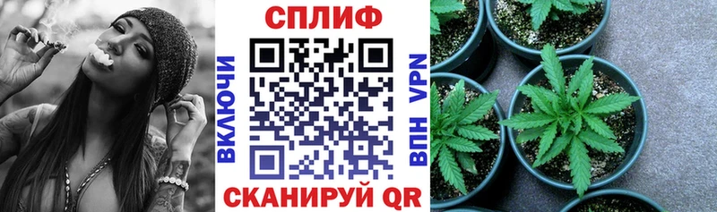 Каннабис SATIVA & INDICA  Монино 